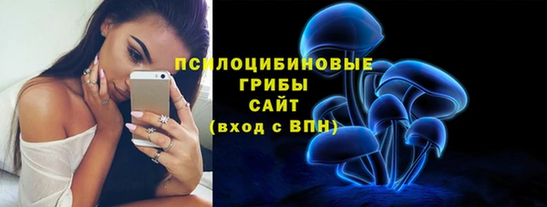 трава Богданович