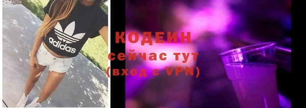 хмурый Богородск