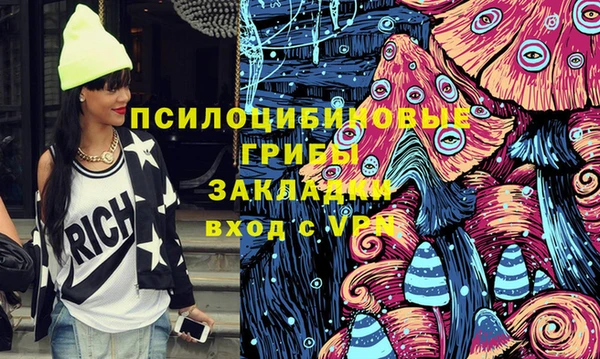 ALPHA PVP Богородицк