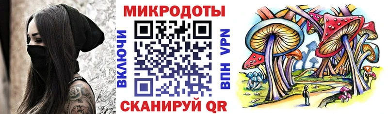OMG как войти  Нерехта  Псилоцибиновые грибы Cubensis 